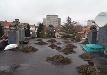 Travaux réalisés à la plate-forme Avenue Albert Brachet