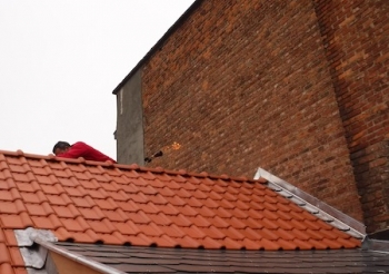 Renouvellement du pan de toiture avant rue du Postillon
