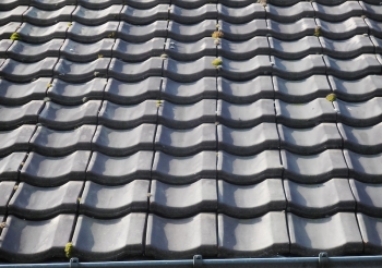 Pose d'un châssis velux dans la toiture rue les Hauts du Ry Ternel